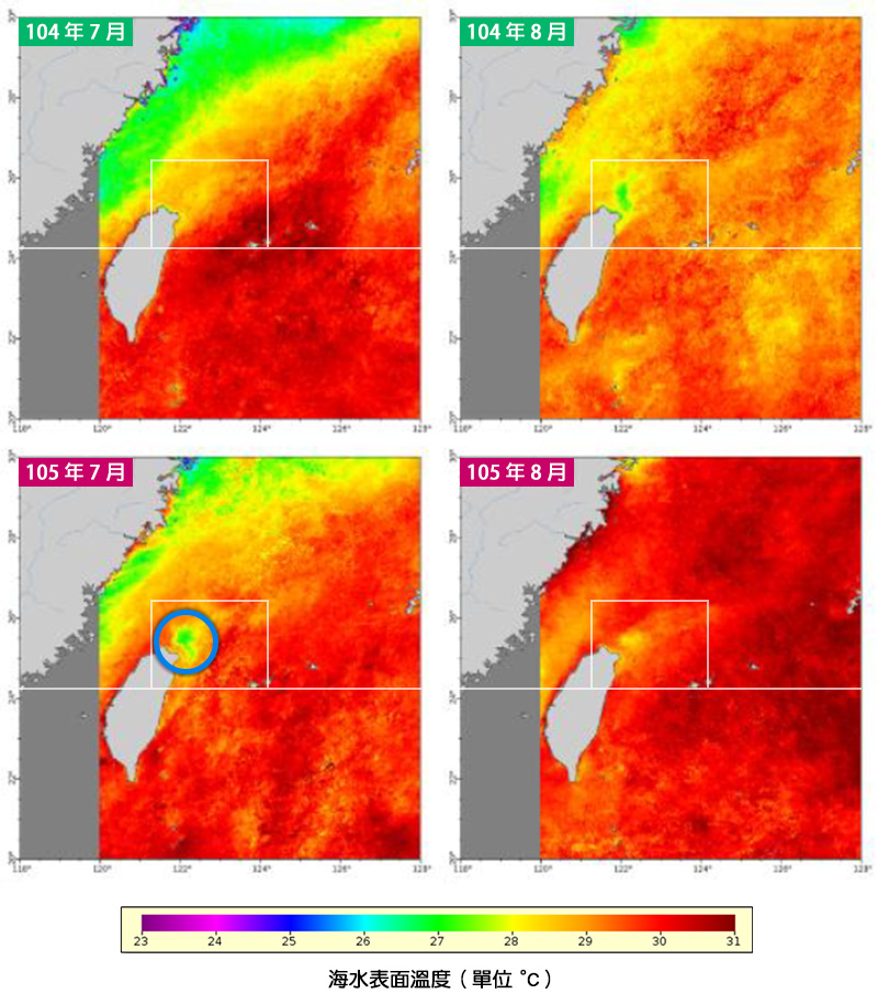 圖表-104與105年度夏季7~8月平均海水表面溫度
